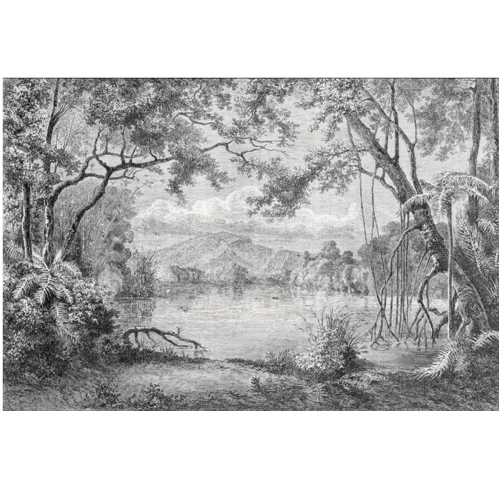 Cultured Art Themed Wall Murals